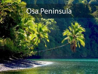 Osa Peninsula, Rosta Rica