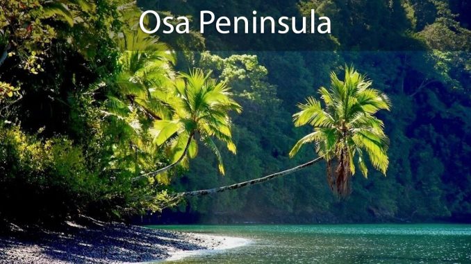 Osa Peninsula, Rosta Rica